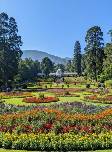 ooty(tamil nadu)